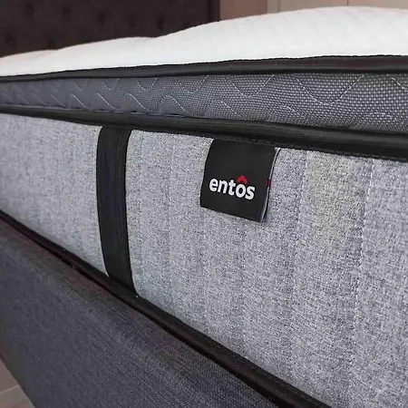 Luxury Cozy In The Center